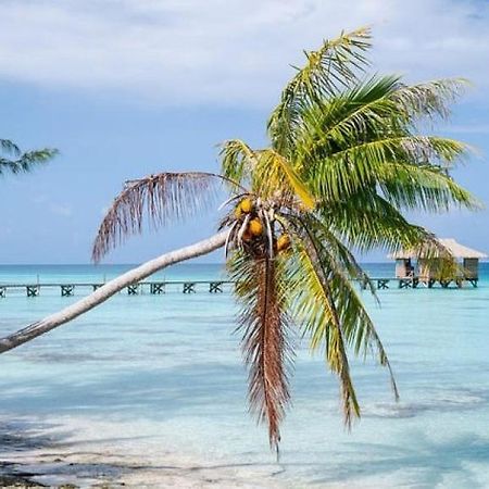 Sunset Hill Lodge Bora Bora Exteriér fotografie