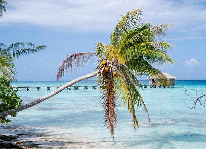 Sunset Hill Lodge Bora Bora Exteriér fotografie